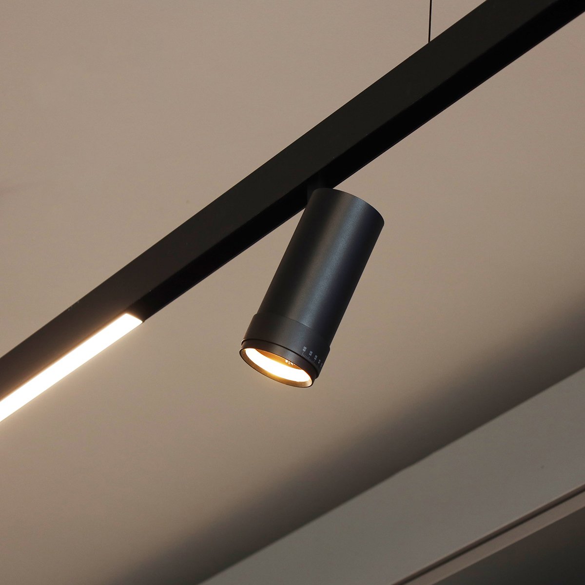 Electrical & Lighting Supplies